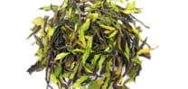 Da Xue Shan Wild White Tea 2026